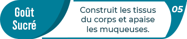 Régime indien ayurvédique - équilibrer l'organisme
