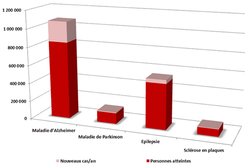 Maladies neurologiques les plus fréquentes